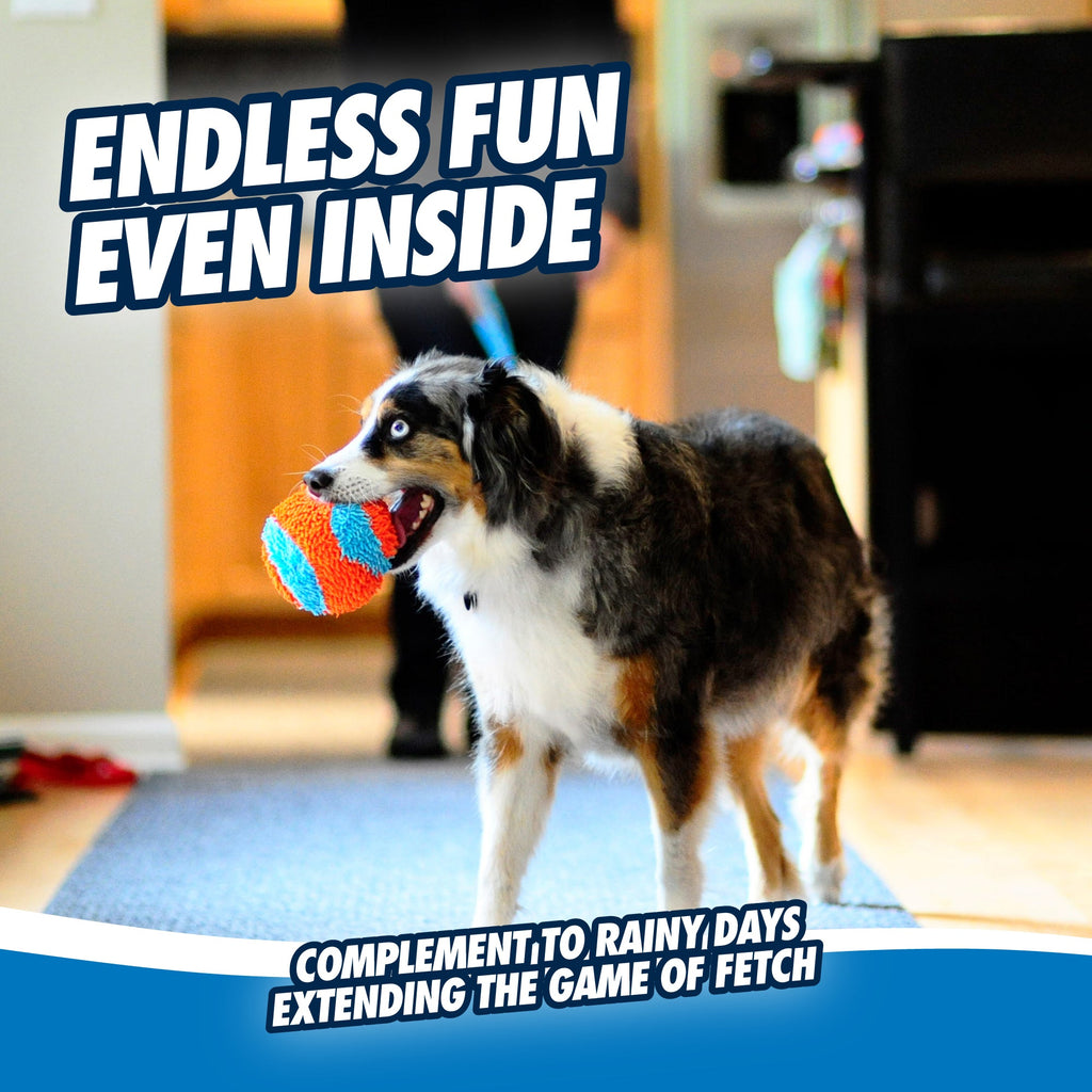 Chuckit! Indoor Ball