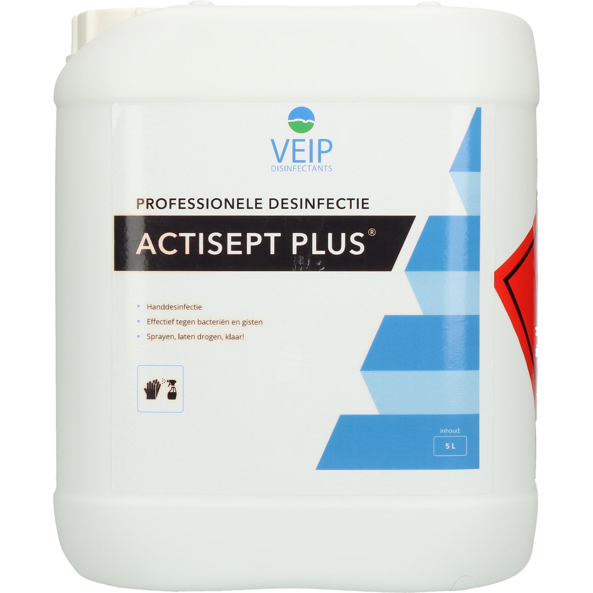 Veip Actisept Plus 5 l
