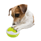 AFP Interactives - Dog Interpreter