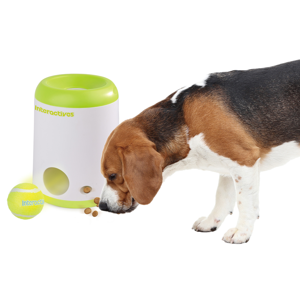 AFP Interactives Fetch'N'Treat