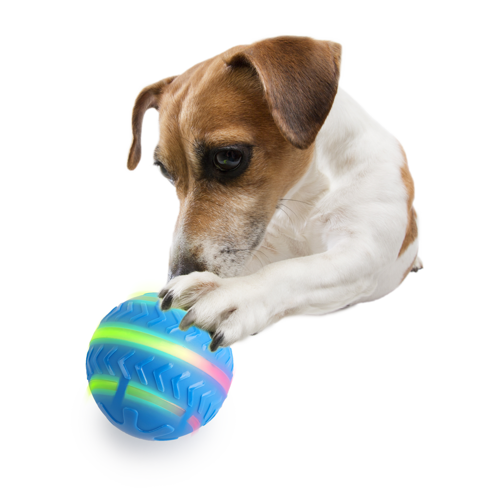 AFP Interactives Motion Activated Action Ball