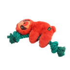 AFP Safari - Rope Cuddle Bradypod