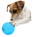 AFP Meta Ball - Bounce & Rattle Ball