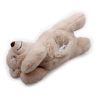 AFP Little Buddy - Warm Bear