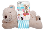 AFP Little Buddy - Warm Bear