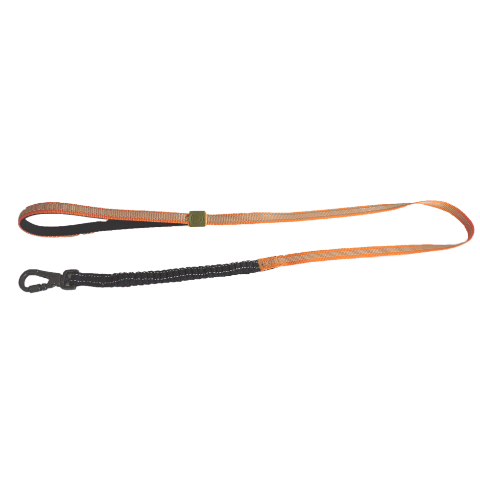 AFP Off Street - Dog Leash S
