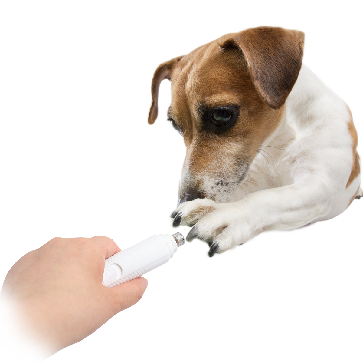AFP Pet Salon Nail Grinder