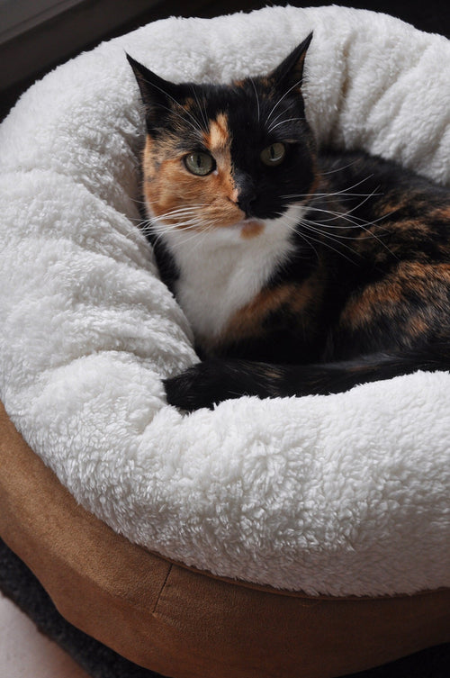 AFP Lambswool - Donut Bed