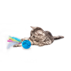 AFP Modern Cat Dizzy Spinner