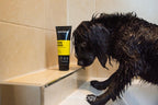 Animology Fox Poo Dog Shampoo 250 ml