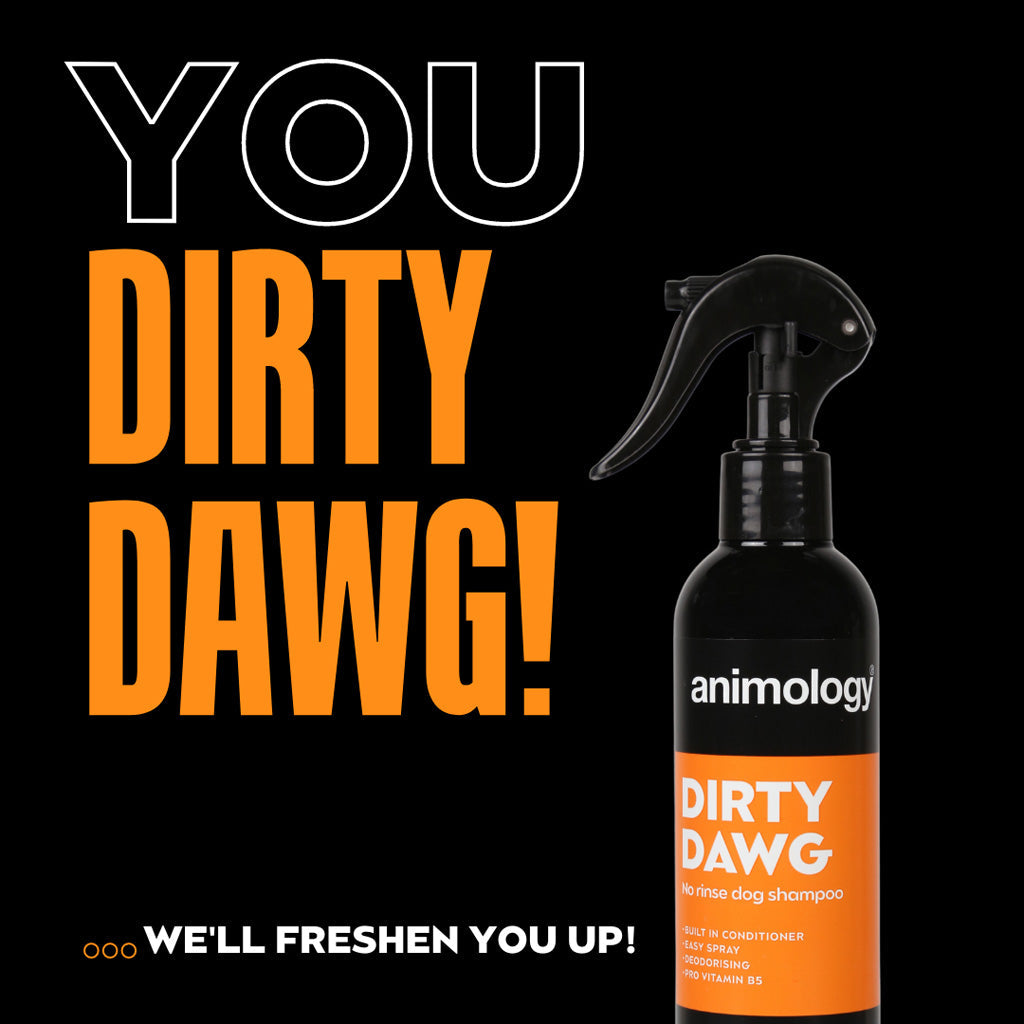 Animology Dirty Dawg No Rinse Dog Shampoo 250 ml