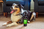 Animology Stink Bomb Deodorising Dog Spray 250 ml