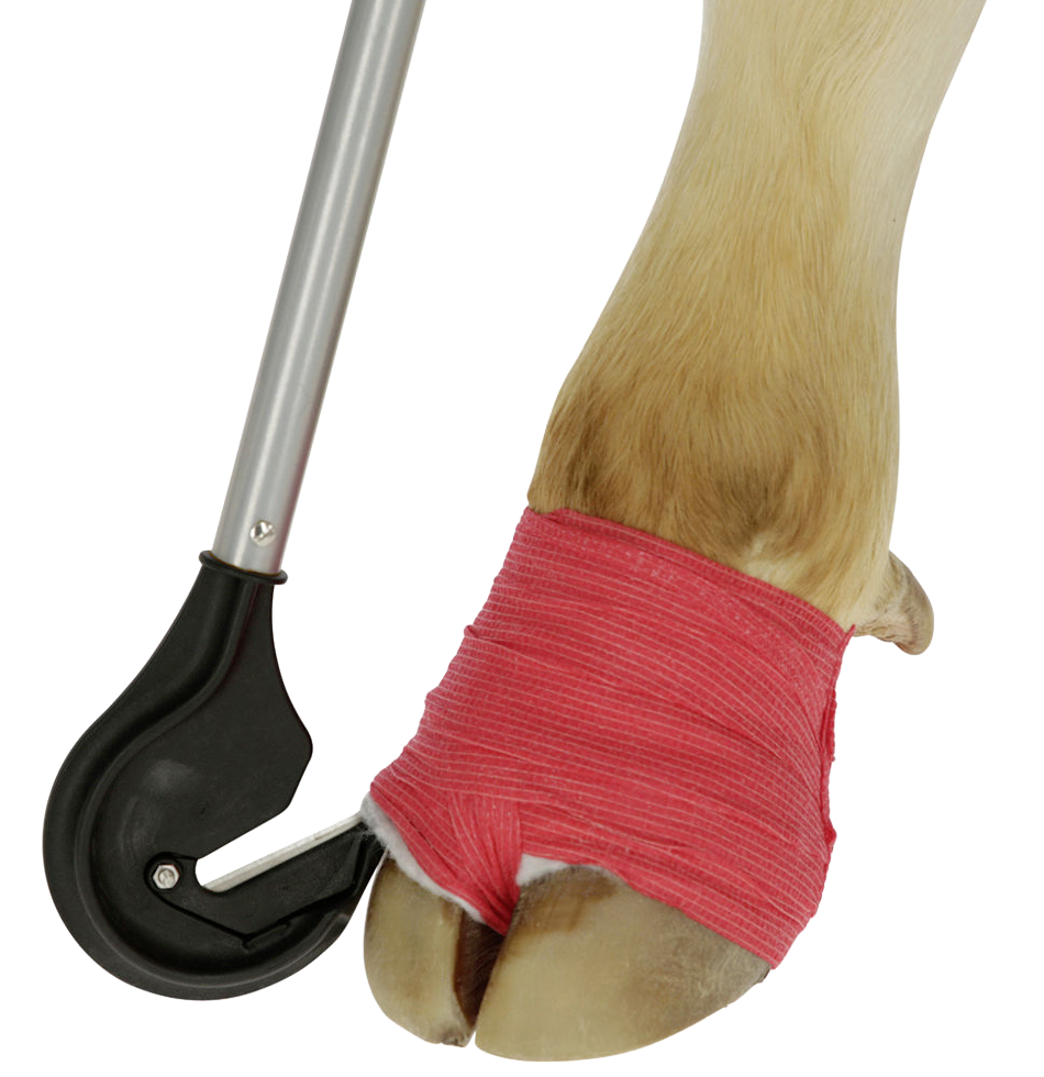 Klauwbandage snijder