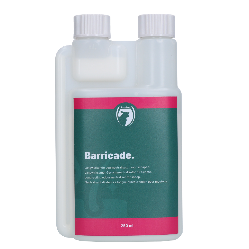 Excellent Barricade Schaap