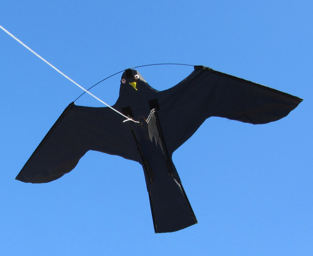 Birdshield Set