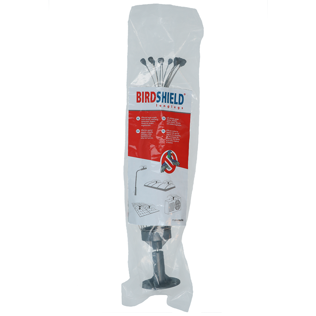 Birdshield Longlegs