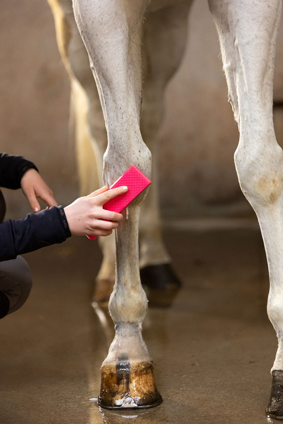 Excellent Horse Grooming Brush