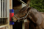 Borstel voor Paard, Rund, Geit