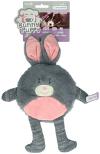 Bunny Puppy Flat Rabbit