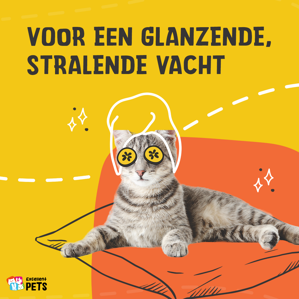 Excellent Pets Cat Salmon Oil – Hofman Animal Care