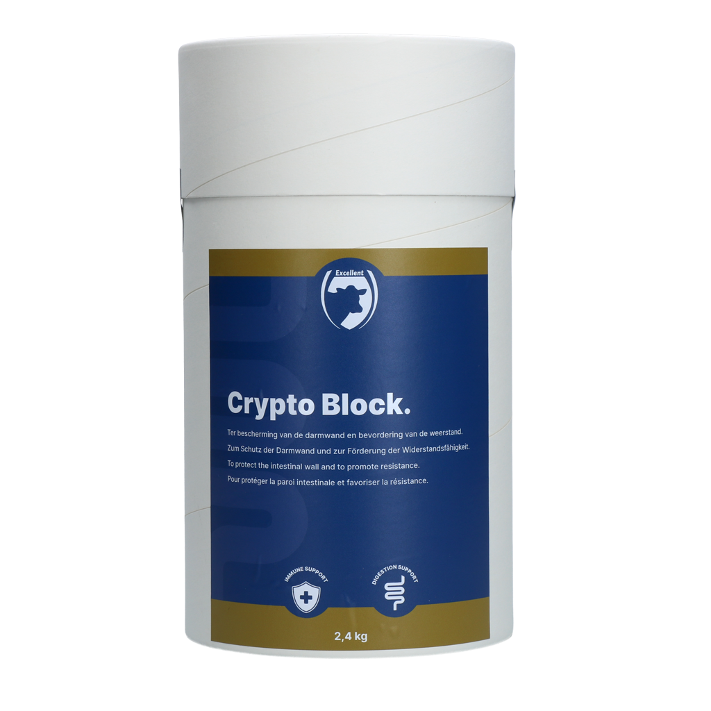 Excellent Crypto Block