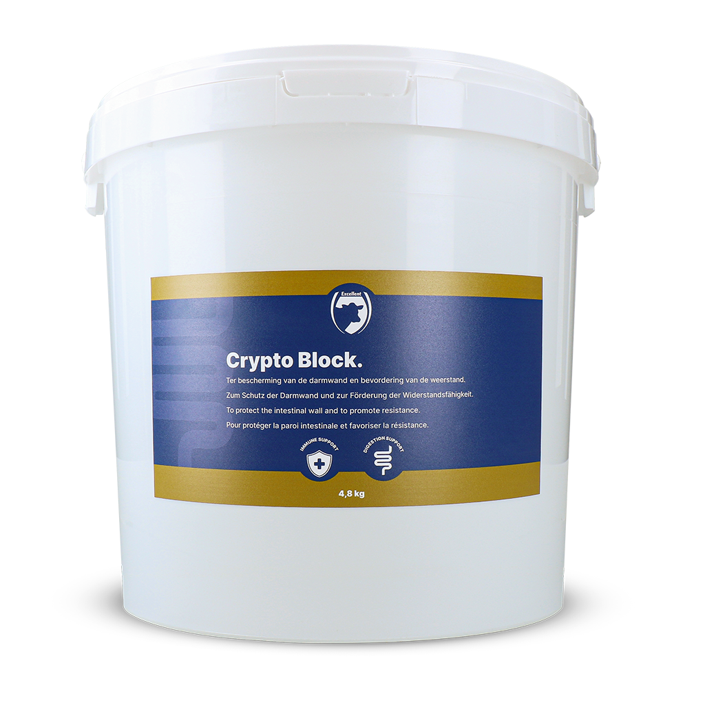 Excellent Crypto Block