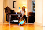 Chuckit! Indoor Shaker