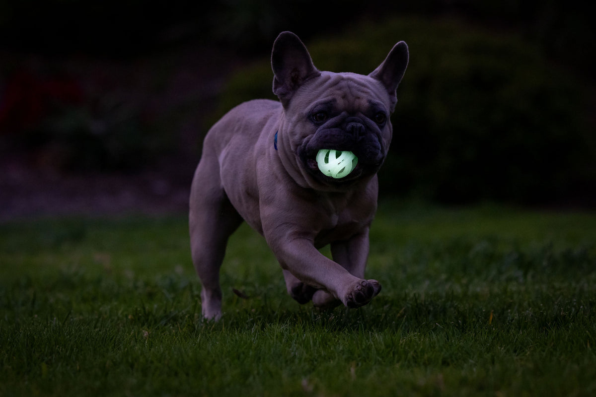 Chuckit! Air Glow Fetch Ball