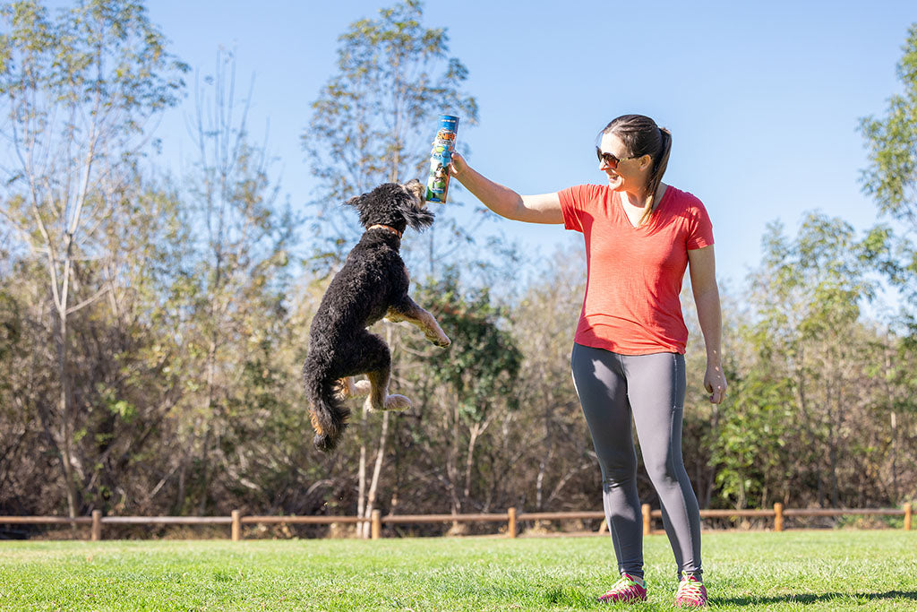 Chuckit! Sniff Fetch Ball Bacon & Peanut Butter