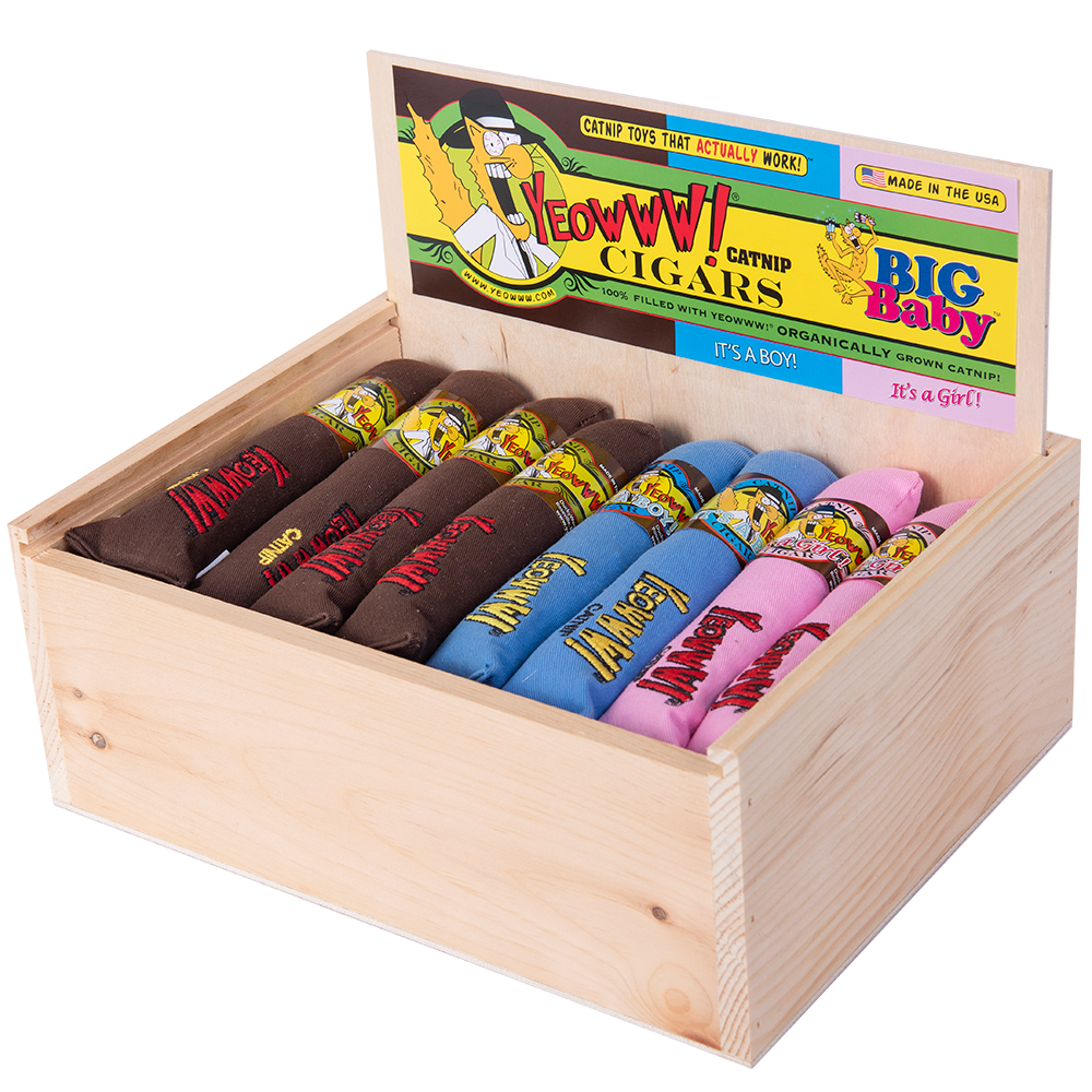 Yeowww! Cigar Box 24 St.