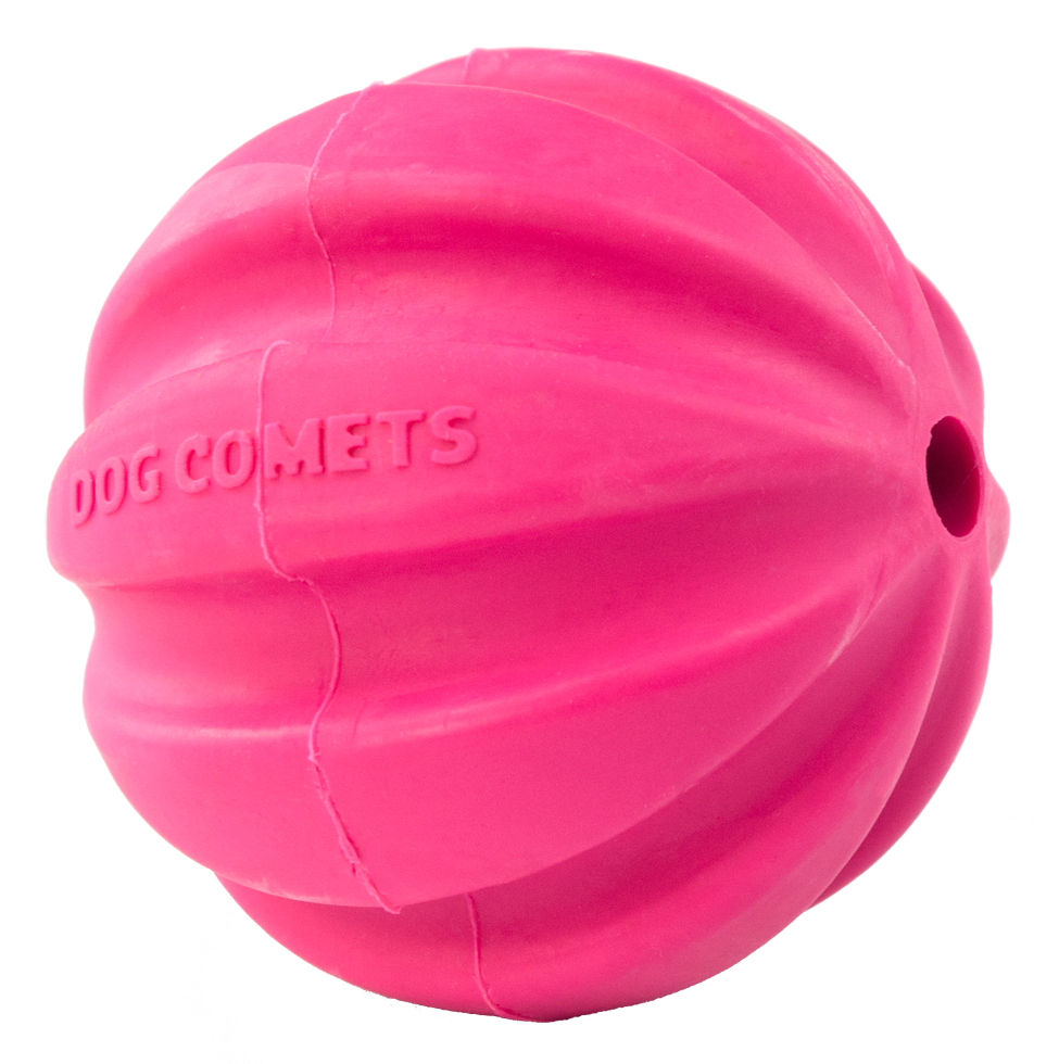 Dog Comets Meteorite