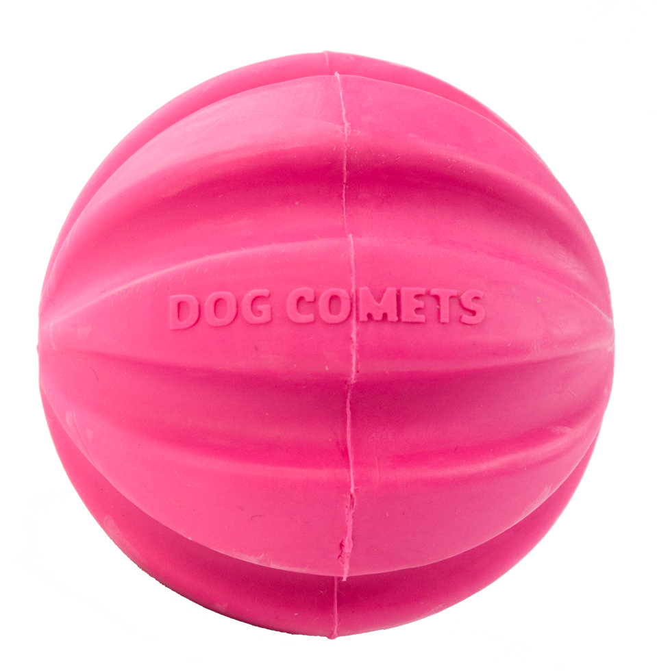 Dog Comets Meteorite
