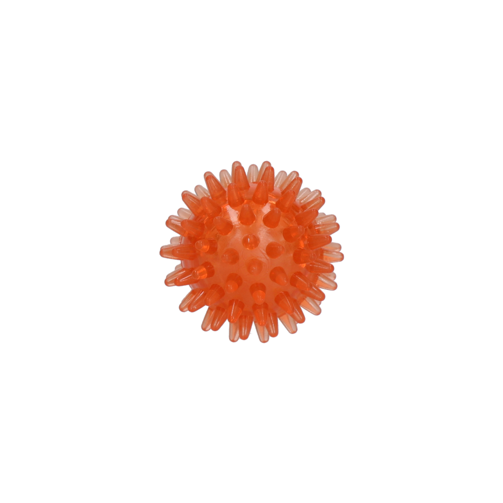 Dog Comets Exoplanet Egelbal