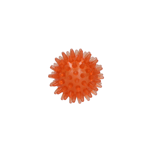 Dog Comets Exoplanet Egelbal