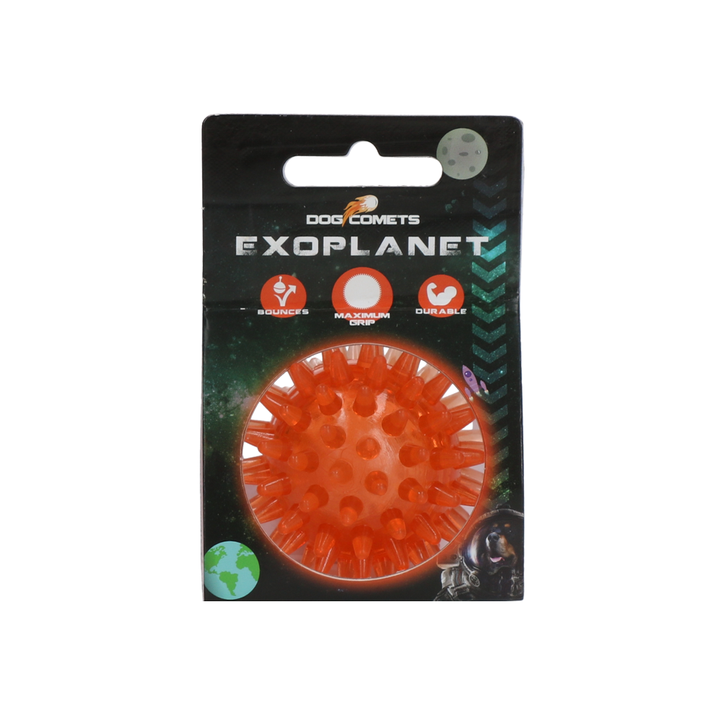 Dog Comets Exoplanet Egelbal