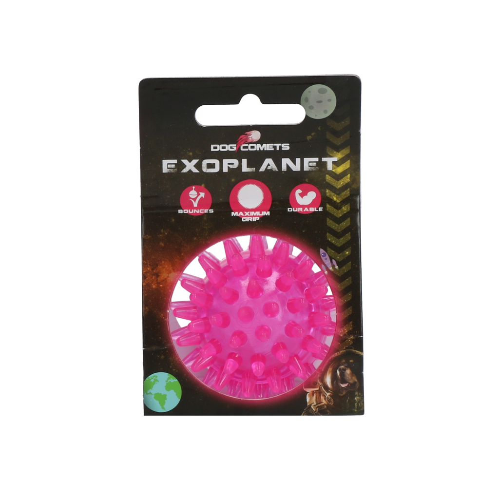 Dog Comets Exoplanet Egelbal