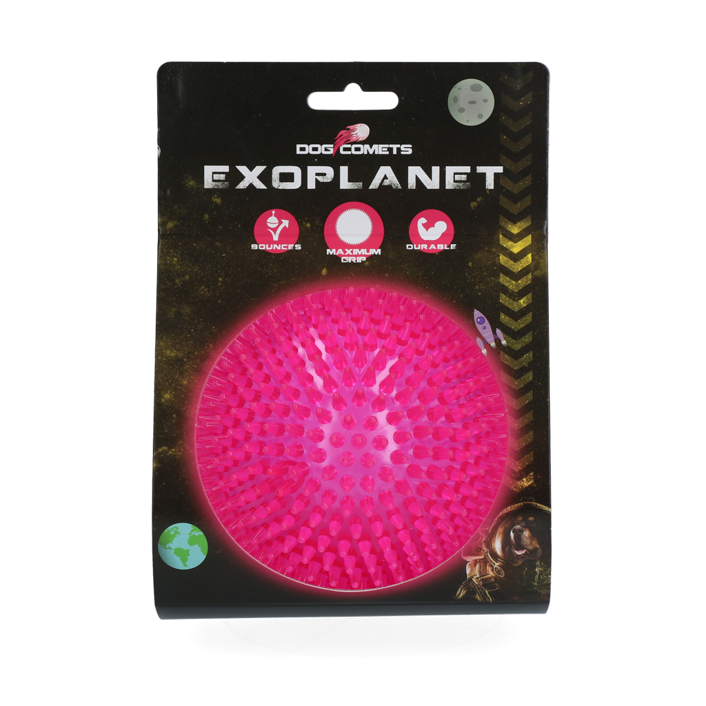 Dog Comets Exoplanet Egelbal