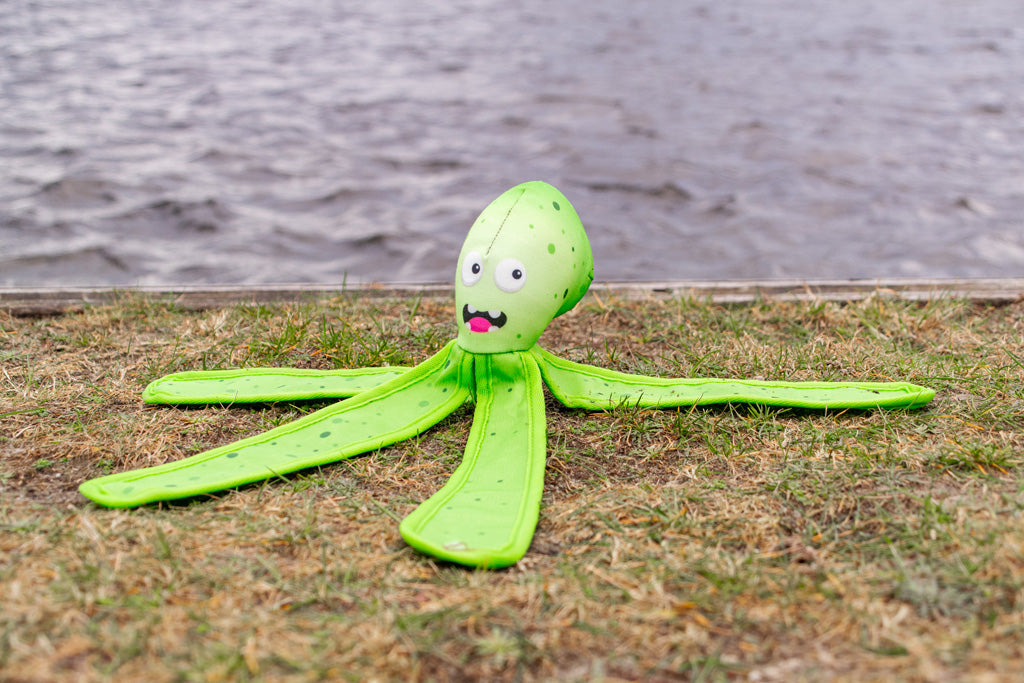 Dog Comets Alien Octo