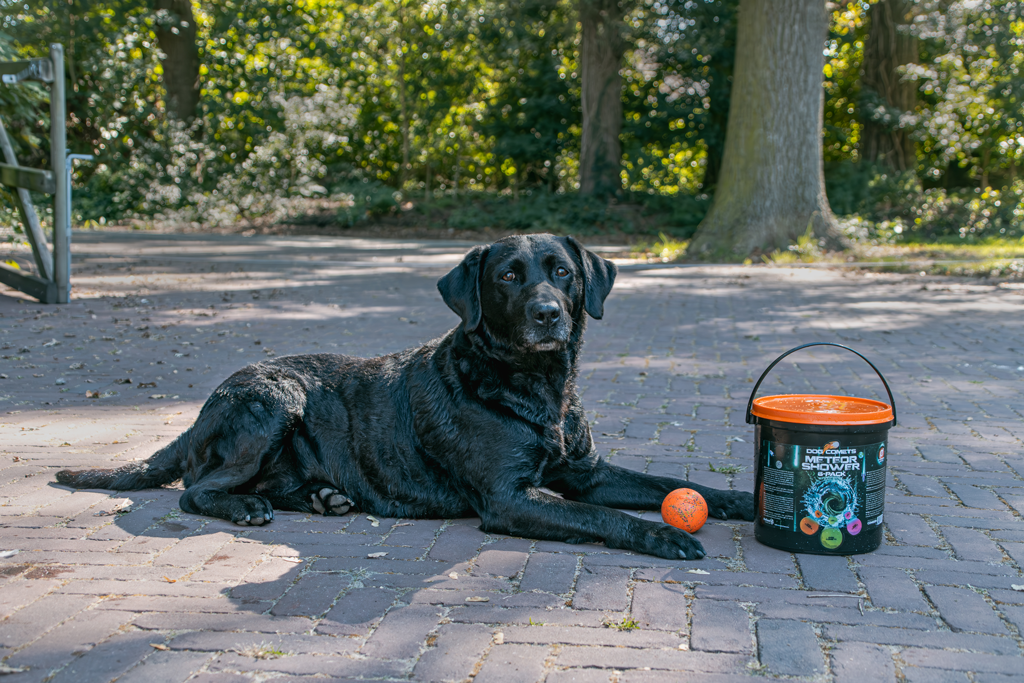 Dog Comets Meteor Shower (Emmer met 6 M Stardust ballen)