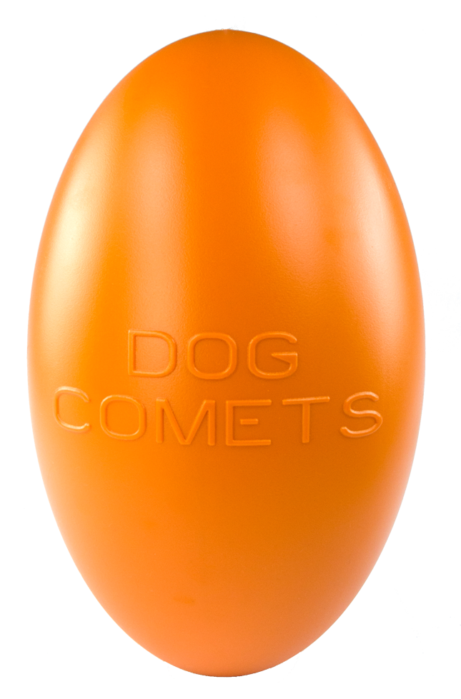 Dog Comets Pan-Stars