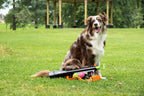 Dog Comets Comet Launcher