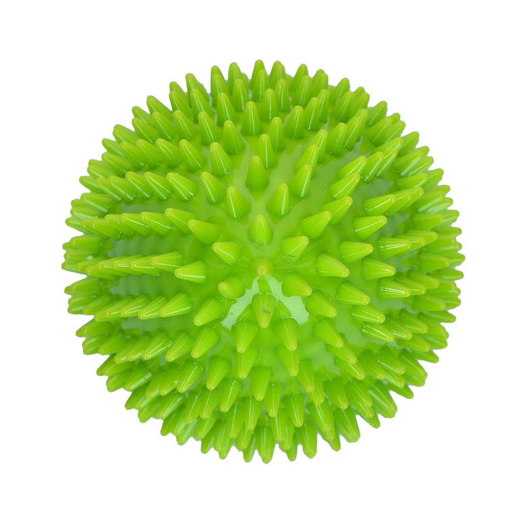 Dog Comets Cosmic Egg