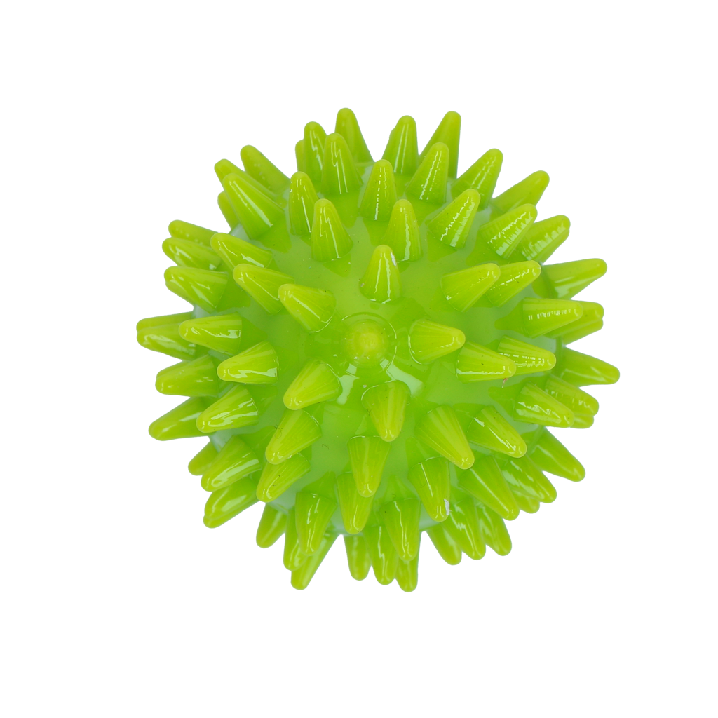 Dog Comets Cosmic Egg