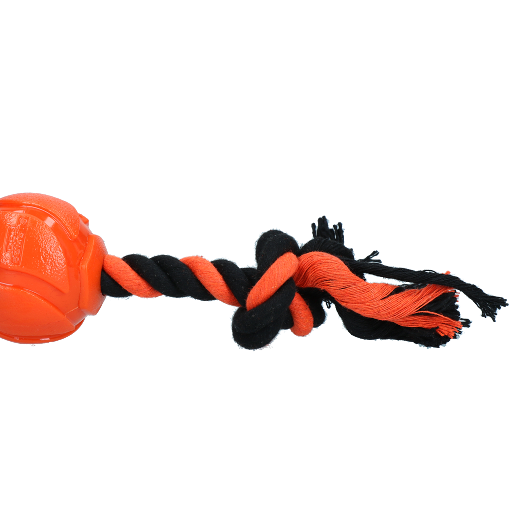 Dog Comets AstroTug