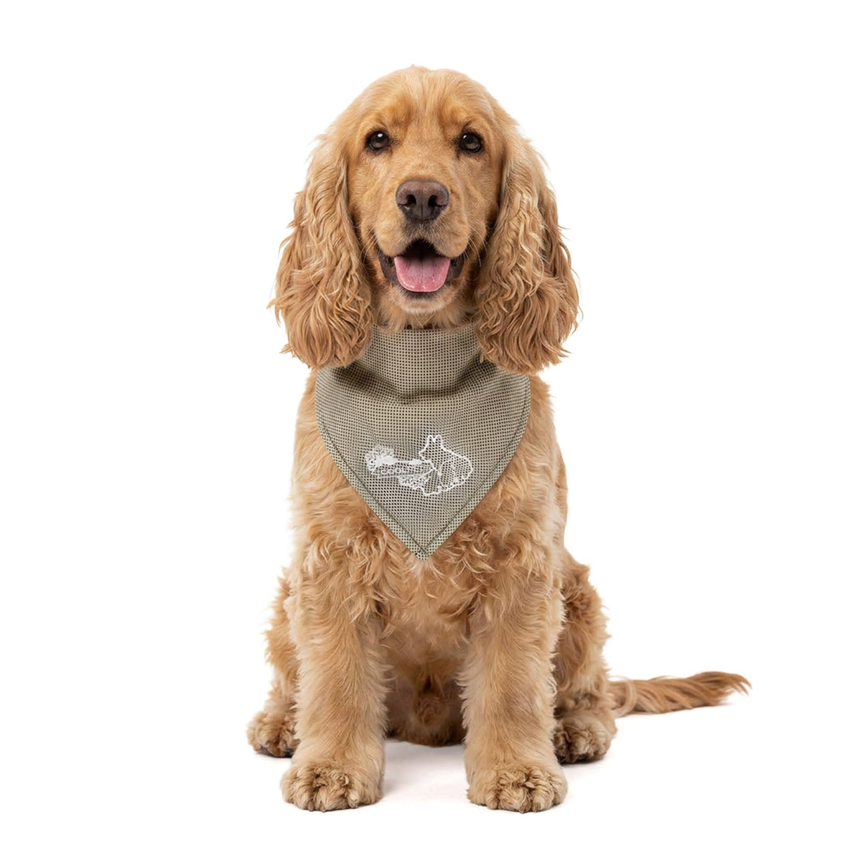Coolpets Cooling Bandana Beige