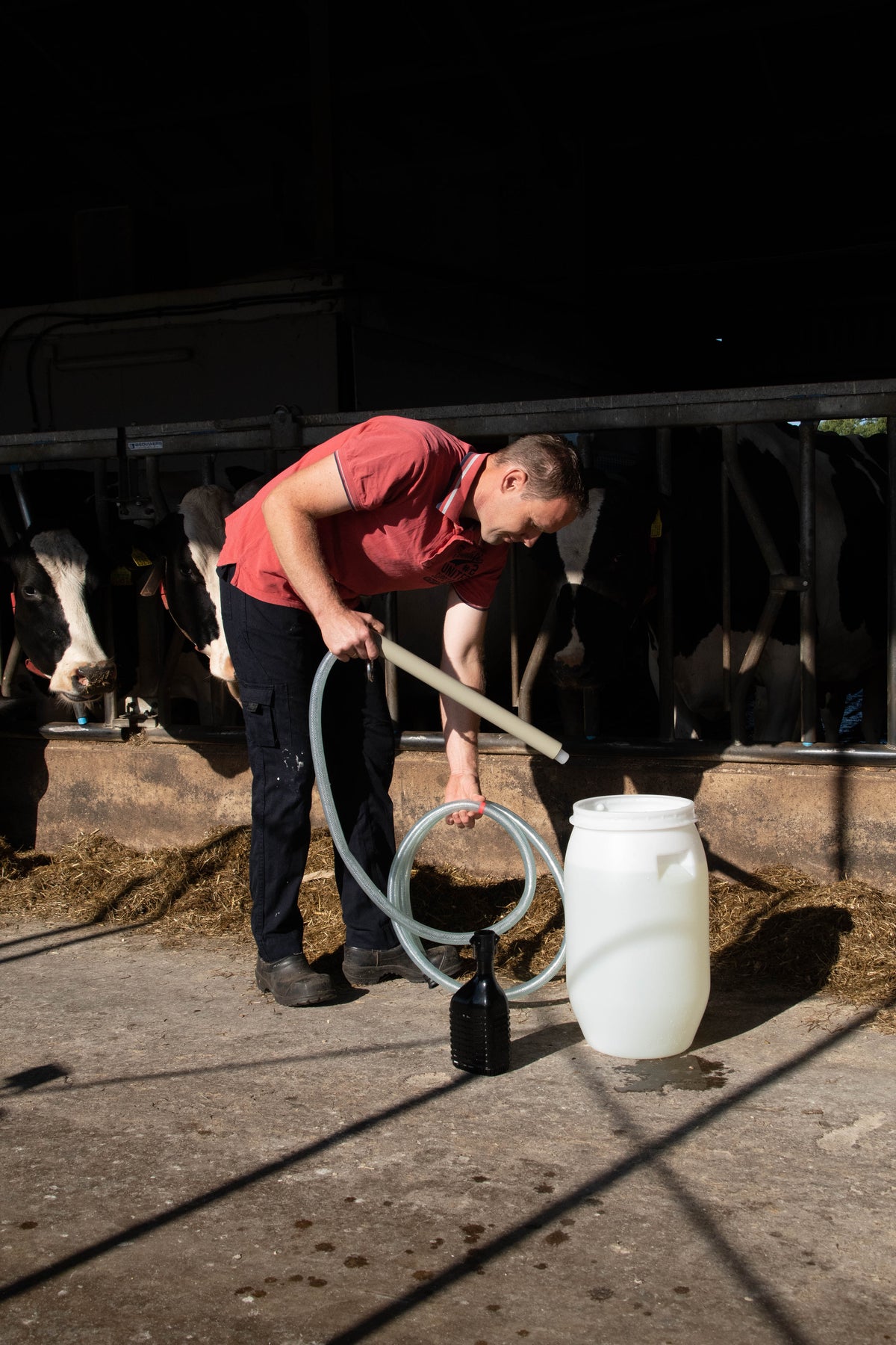 Excellent Cow Drencher Automatisch