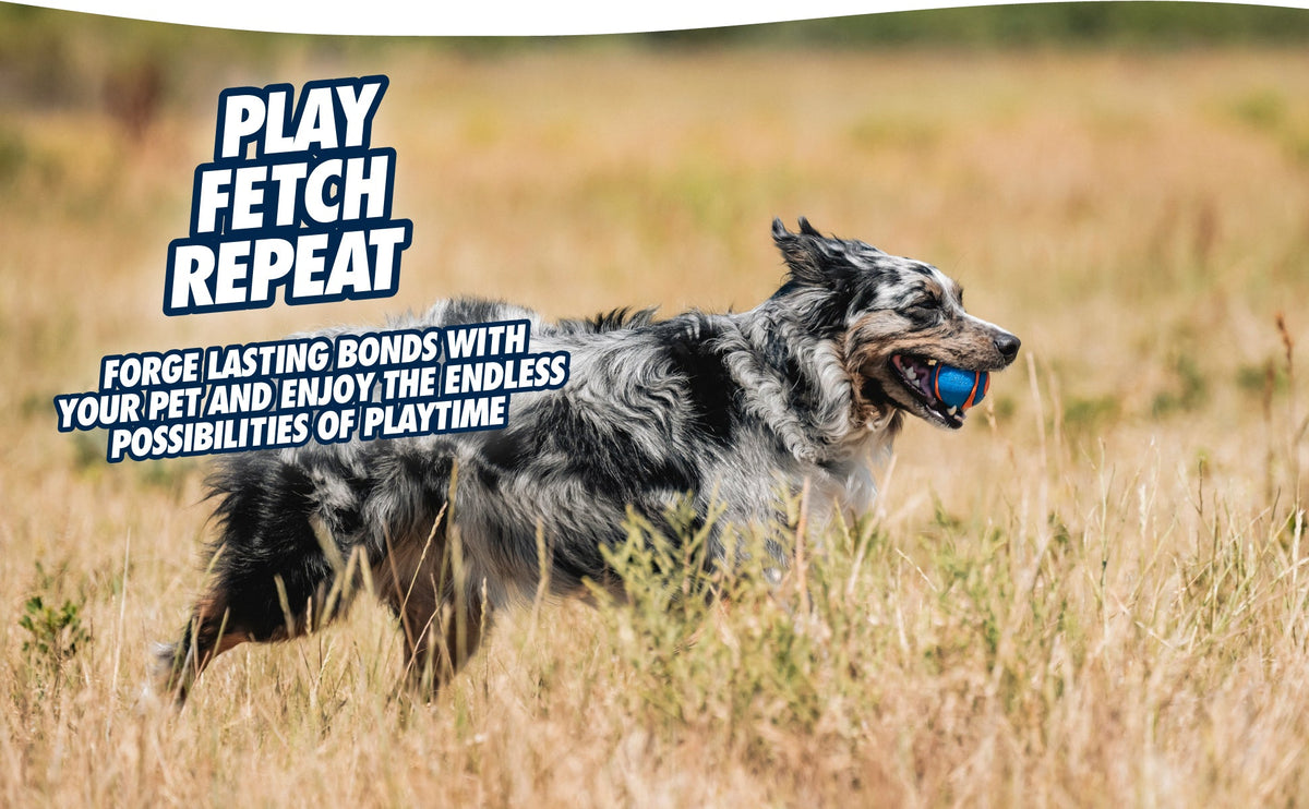 Chuckit! Ultra Squeaker Ball