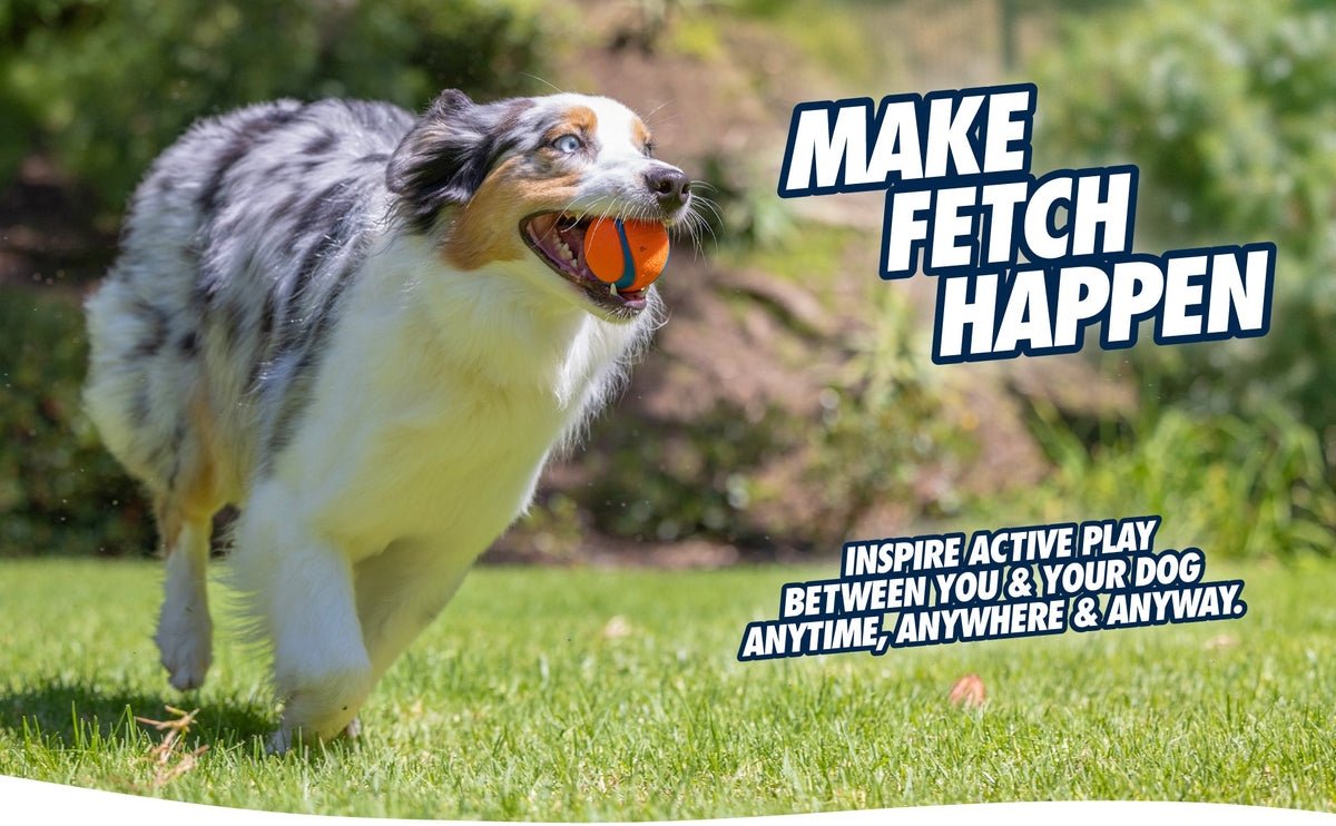 Chuckit! Fetch Ball