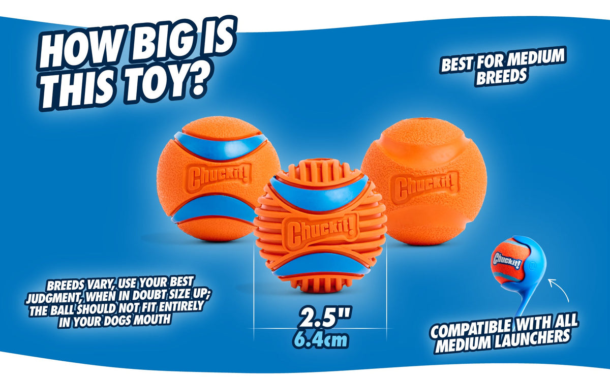 Chuckit! Fetch Ball