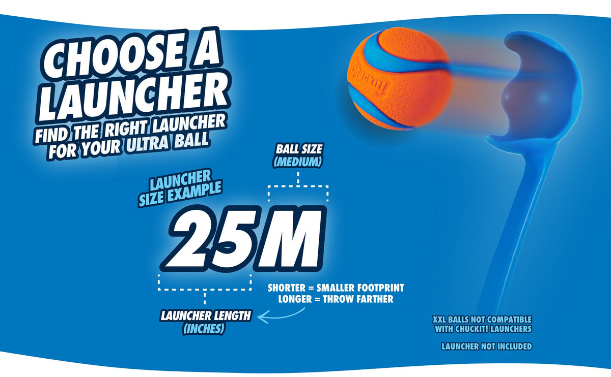 Chuckit! Fetch Ball